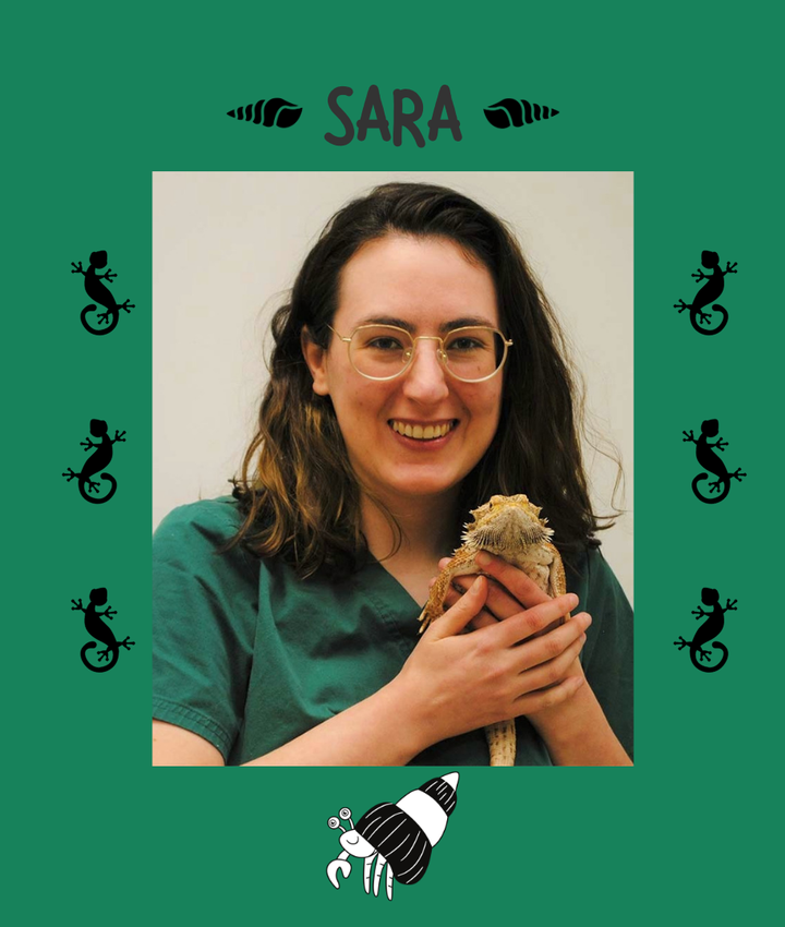 Portrait of Sara Parker
