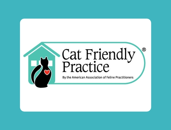 Animal House of Chicago Is Now an AAFP-certified Cat Friendly Practice